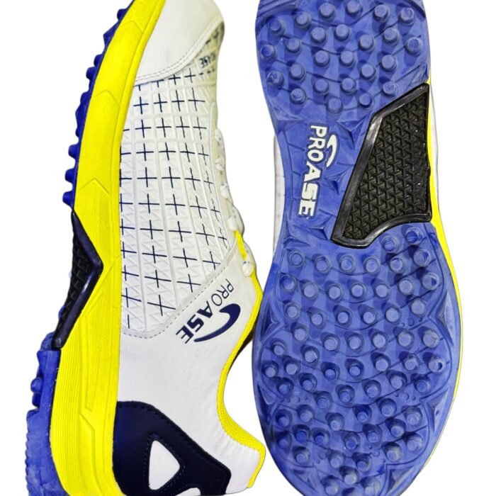 Pro Ase Cricket Shoe Cg-301 Model