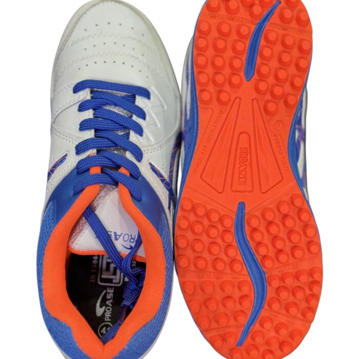 Pro Ase Cricket Shoe Cg-111 Model